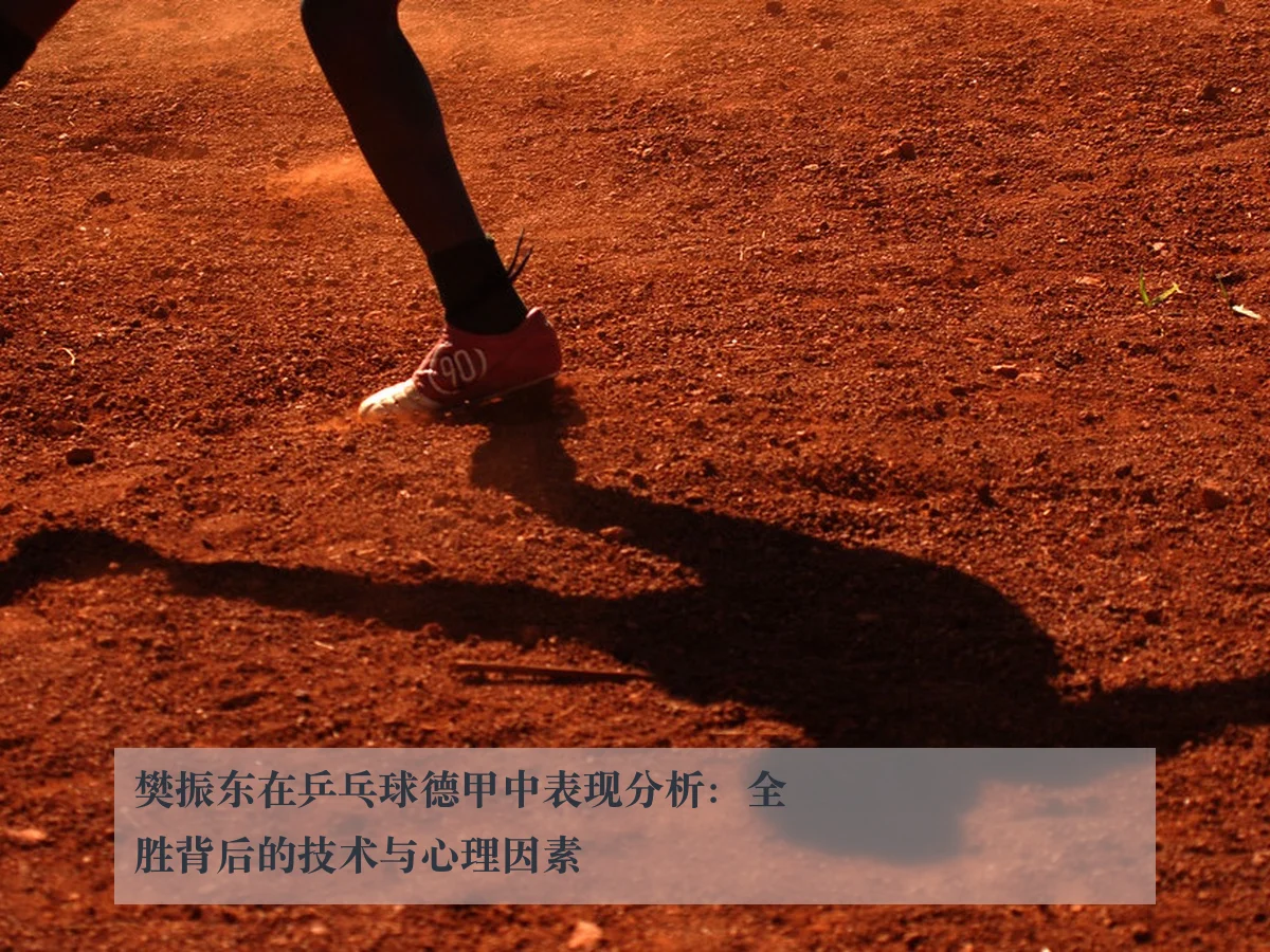 樊振东在乒乓球德甲中表现分析：全胜背后的技术与心理因素